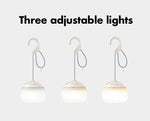 BlackDog Atmosphere Hanging Light