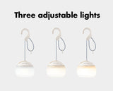 BlackDog Atmosphere Hanging Light