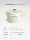Cast Iron Enamel pot